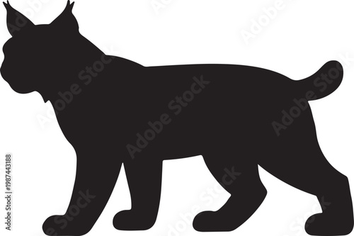 Understanding the Behavior and History of Domestic Cats