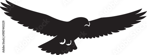 The Incredible Speed and Hunting Mastery of the Falcon