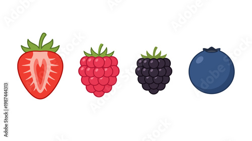 Set of four different types of fresh berries including strawberry raspberry blackberry and blueberry isolated on white background.