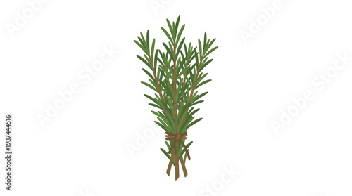 A bunch of fresh green rosemary sprigs tied with twine.