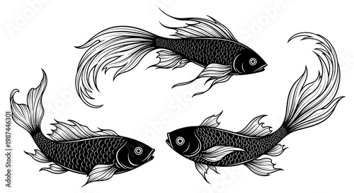 Three elegant black and white koi fish swimming gracefully.