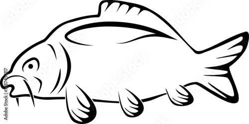 Karpfen gezeichnet, Karpfen, Fisch, Logo, Angeln, Sport, Icon, Aufkleber Label