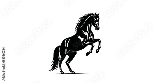 Majestic black horse rearing up in a powerful stance.
