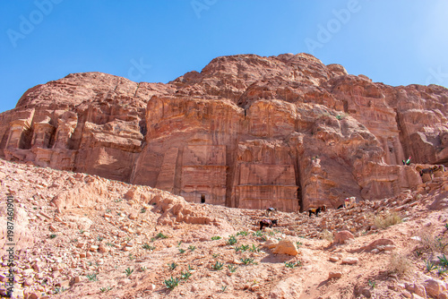 Εκτύπωση καμβά Petra Jordan Aerial view on old Ancient City and Huge Rock Formations