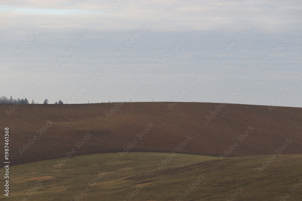 Obraz premium Rolling agricultural fields with a distant treeline under a soft cloudy sky