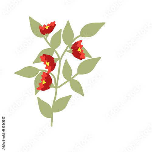 Floral plant with red bloomed flowers illustratioan