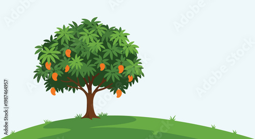 A lush green mango tree with many ripe orange fruits growing on a grassy hill under a clear sky.