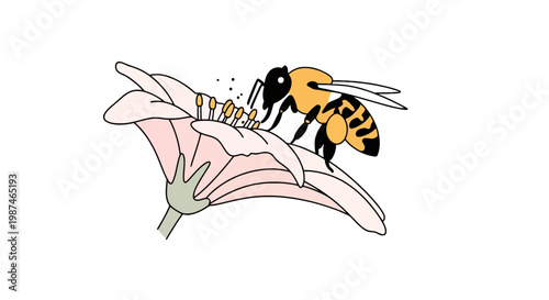 Honeybee Pollinating Pink Flower Vector Illustration