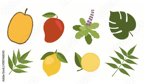 Flat tropical leaf vector set with jackfruit mango tulsi lemon and neem modern minimal illustration