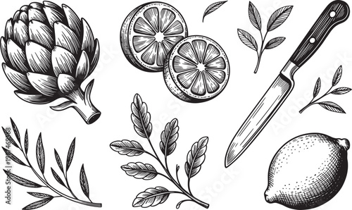 Botanical Lemon, Artichoke, Knife and Herbs Sketch