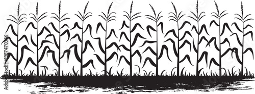 Grunge Corn Stalks Silhouette with Tassels and Leaves