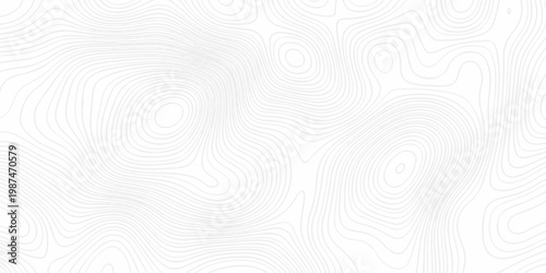 minimal paper area the pattern discovery topography map. topo map creative white wave grid stripe line map topography. vector geographic contour mounted map background.