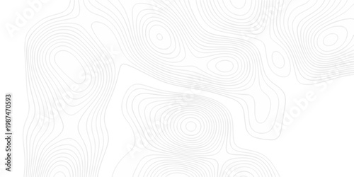 minimal paper area the pattern discovery topography map. topo map creative white wave grid stripe line map topography. vector geographic contour mounted map background.