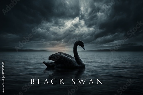 Mysterious black swan gliding across a tranquil lake under a dramatic sky at dusk, embodying elegance in natures stillness and beauty