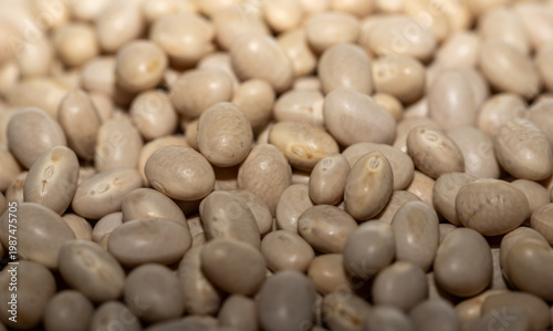 white beans background