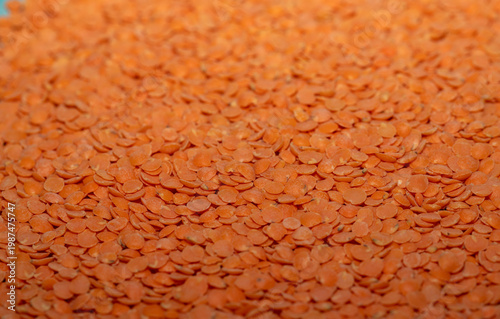 red lentils background