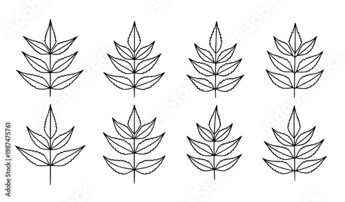 Neem leaf outline vector set medicinal plant line art illustration isolated on white