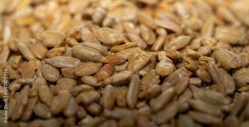 sunflower seeds background