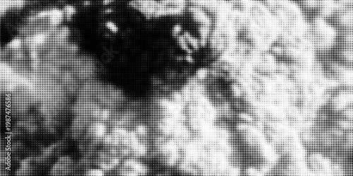 Black radial halftone circles. Dotted sound wave rings. Stippled epicenter, target, radar icon concept. Ripple concentric signal vibration element. Vector round dashed and dotted gradient pattern