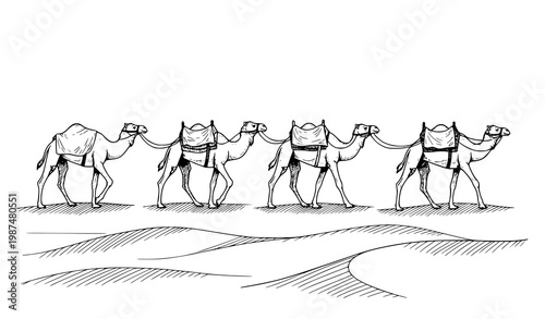 Hand Drawn Camel Caravan in Desert Sketch Vector Illustration on White Background