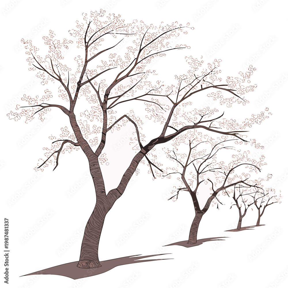 Fototapeta premium Illustration of trees with blossoming flowers on in a row