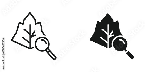 Comparison of magnifying glass over a maple leaf in different visual styles