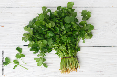 Fresh raw Organic cilantro bunch  on wooden background, vegetarian and vegan food, source of vitamins. Selective focus