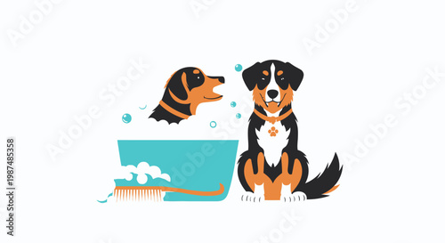 Bernese mountain dogs taking bath with grooming brush illustration