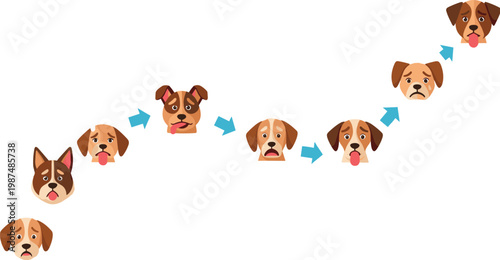 Dog emotion progression illustration with different facial expressions and transitions, playful vector design showing mood changes, behavior stages and pet communication concept