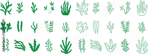 Seaweed algae marine plants icon set collection group, underwater ocean flora silhouettes, aquatic botanical elements, black flat and line style vector illustration isolated transparent background