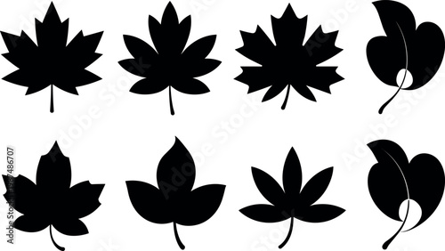 set of black maple and heart shaped leaves on white background