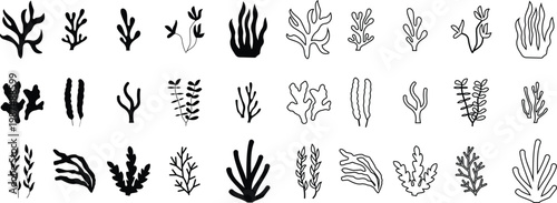 Seaweed algae marine plants icon set collection group, underwater ocean flora silhouettes, aquatic botanical elements, black flat and line style vector illustration isolated transparent background