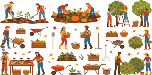 Agriculture vector illustration set featuring farmers harvesting organic vegetables picking apples and selling fresh produce at market.