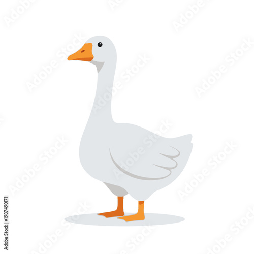 White Goose Standing Isolated On White Background, Farm Bird Illustration