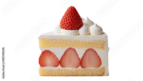 Obraz na plátně Slice of strawberry shortcake with whipped cream and fresh berries, isolated on