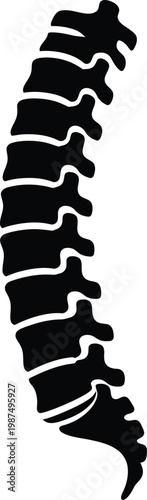 Human spine anatomy silhouette for medical or chiropractic vector illustration