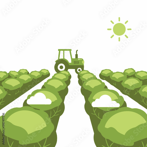 Tractor cultivating a green cabbage field under the sun, farm illustration
