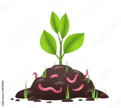 A plant sprout growing on a compost heap. Vector 3D illustration isolated on a white background.