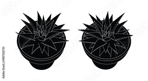 Two potted succulent plants are presented in a stark black and white composition emphasizing their unique forms and textures as a silhouette high quality professional