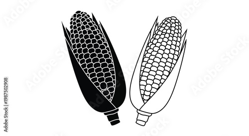 A striking depiction of two ears of corn one fully shaded and the other partially lit displayed against a plain white background silhouette