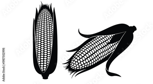 A striking visual depicts two ears of corn one whole and one partially husked presented in a bold silhouette high quality professional detailed