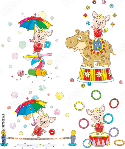 Little piglet in a funny circus performance balancing with an umbrella on a rope and items, juggling small balls on a funny hippo and playing rings, a set of vector cartoon illustrations