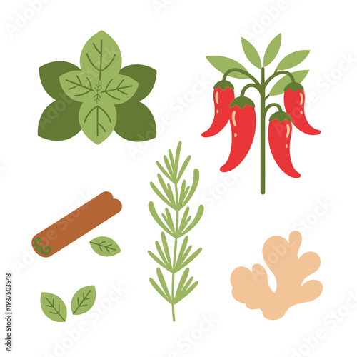 Fresh Herbs and Spices Assortment: Basil, Chili, Rosemary, Cinnamon, Ginger