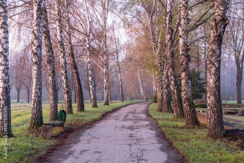 Wallpaper Mural Spring Landscape of Grădina Botanică din Chișinău – Blooming Flowers, Lush Green Park, Urban Nature Oasis, Scenic Botanical Garden in Moldova Capital, Peaceful City Park in Springtime Torontodigital.ca