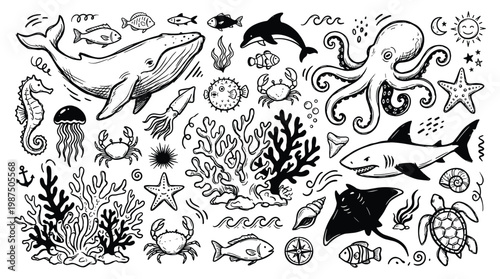 Black and white doodle illustration of ocean animals and sea life meeting office doodle board