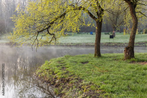 Wallpaper Mural Spring Landscape of Grădina Botanică din Chișinău – Blooming Flowers, Lush Green Park, Urban Nature Oasis, Scenic Botanical Garden in Moldova Capital, Peaceful City Park in Springtime Torontodigital.ca