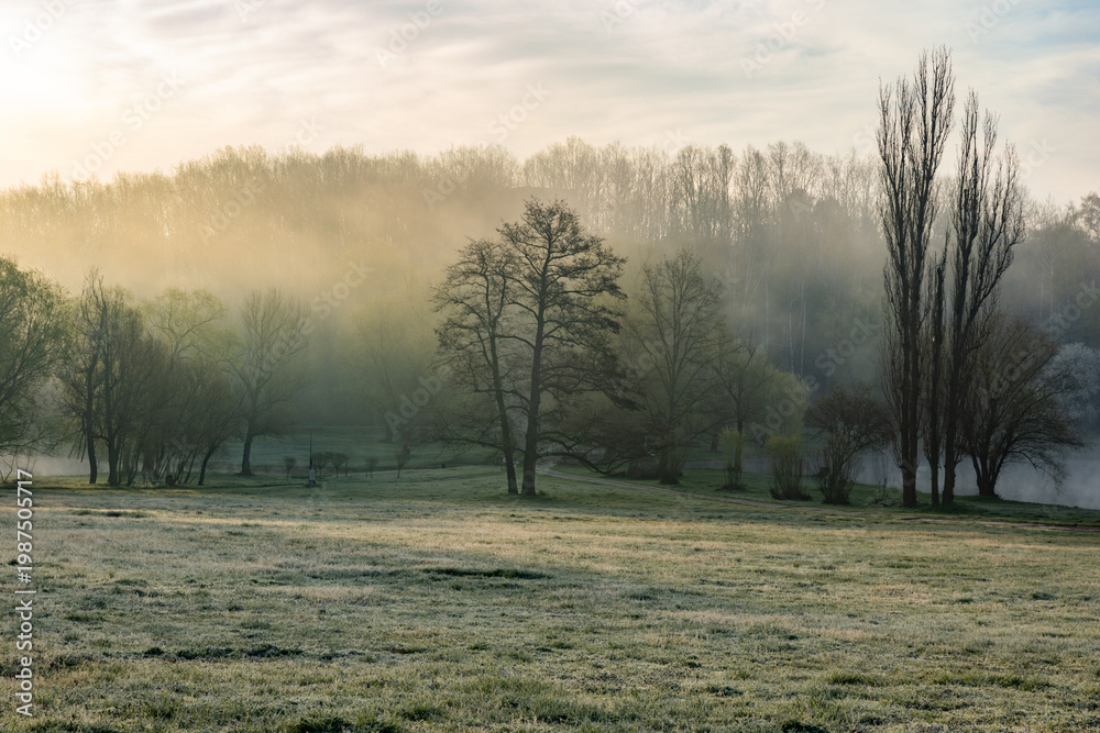 custom made wallpaper toronto digitalSpring Landscape of Grădina Botanică din Chișinău – Blooming Flowers, Lush Green Park, Urban Nature Oasis, Scenic Botanical Garden in Moldova Capital, Peaceful City Park in Springtime