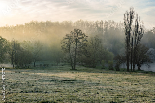 Wallpaper Mural Spring Landscape of Grădina Botanică din Chișinău – Blooming Flowers, Lush Green Park, Urban Nature Oasis, Scenic Botanical Garden in Moldova Capital, Peaceful City Park in Springtime Torontodigital.ca
