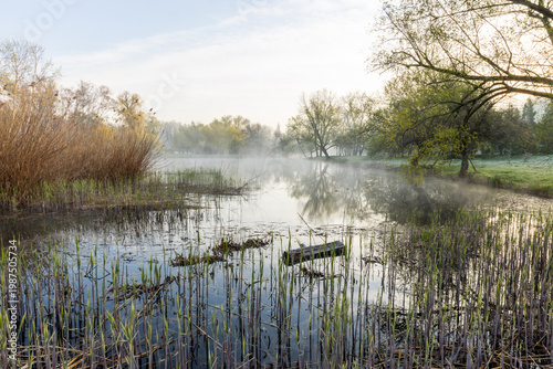 Wallpaper Mural Spring Landscape of Grădina Botanică din Chișinău – Blooming Flowers, Lush Green Park, Urban Nature Oasis, Scenic Botanical Garden in Moldova Capital, Peaceful City Park in Springtime Torontodigital.ca