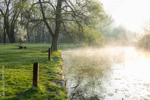 Wallpaper Mural Spring Landscape of Grădina Botanică din Chișinău – Blooming Flowers, Lush Green Park, Urban Nature Oasis, Scenic Botanical Garden in Moldova Capital, Peaceful City Park in Springtime Torontodigital.ca